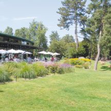 Die Organisation des Migros-Engagement | Migros-Engagement