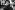 Portrait der Mentorin