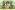 AU00020708 PimpMyCamp Landingpage 1440x630