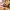 AdobeStock_535094883