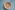 event-inhaltsbild_IFIC26_RGB_Landscape_Web