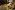 news-header-weihnachtskampagne-best-friends-forever-nachmittag-im-museum