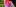 buehne-engagement-2880x1260px-foulard-sommernachtsball