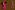 Double_Illu_2024_Teaser_1878_1252_engl__KLASSIK