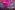 Sommer_nachts_ball_2024