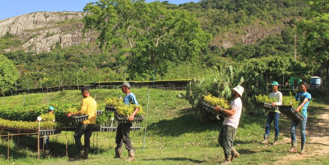 Hommes portant des caisses remplies de plantes