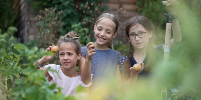 projekt-inhaltsbild-gartenkind-slider-1