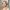 Madame-Frigo_Portrait_Anja-Schenk