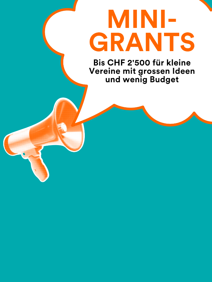 DE-Slider-ici-Mini-Grants 1338 x 1784