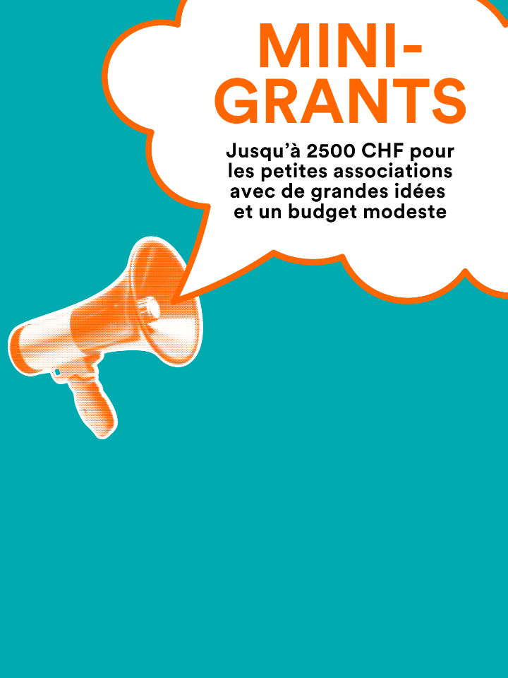 FR-Slider-ici-Mini-Grants 1338 x 1784