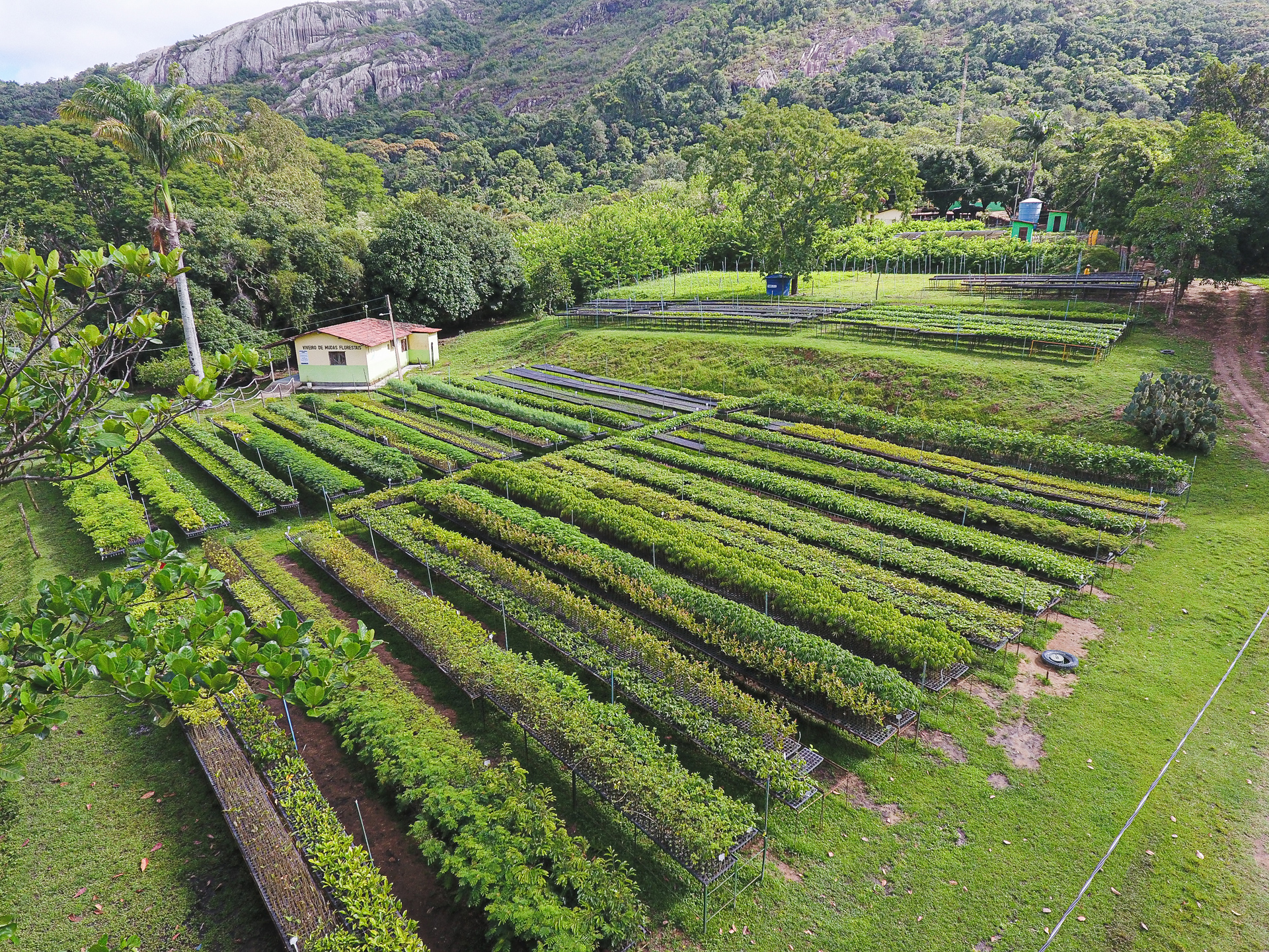 Nordesta: agroforesterie au Brésil
