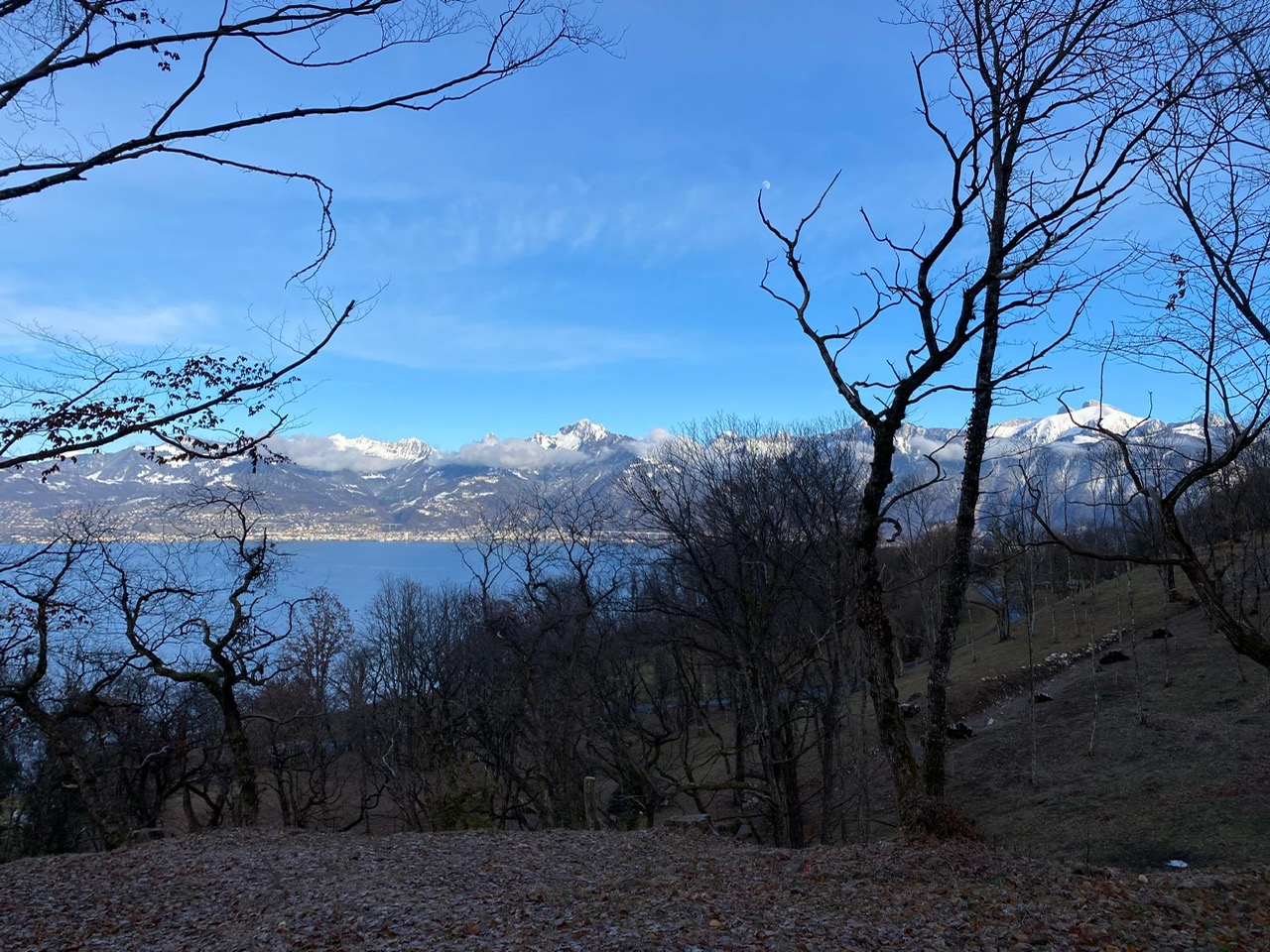 hang-mit-kastanienbaeume-und-see-st-gingolph-unterstuetzungsfonds.jpg