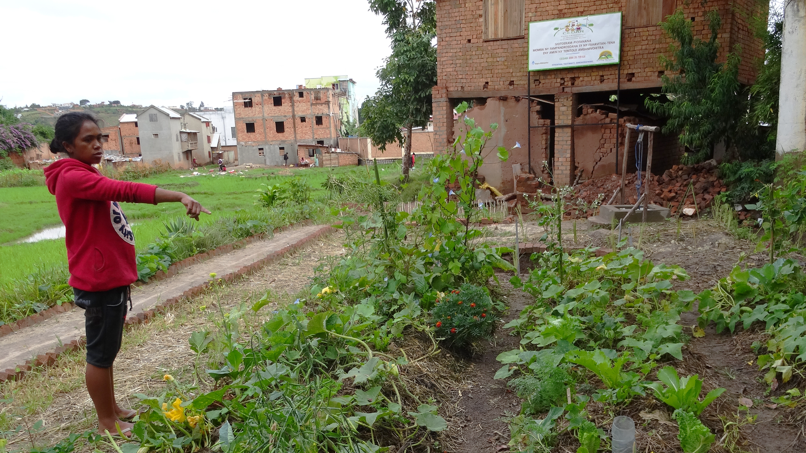 gemueseanbau-aqua-alimenta-madagaskar-unterstuetzungsfonds-7.png