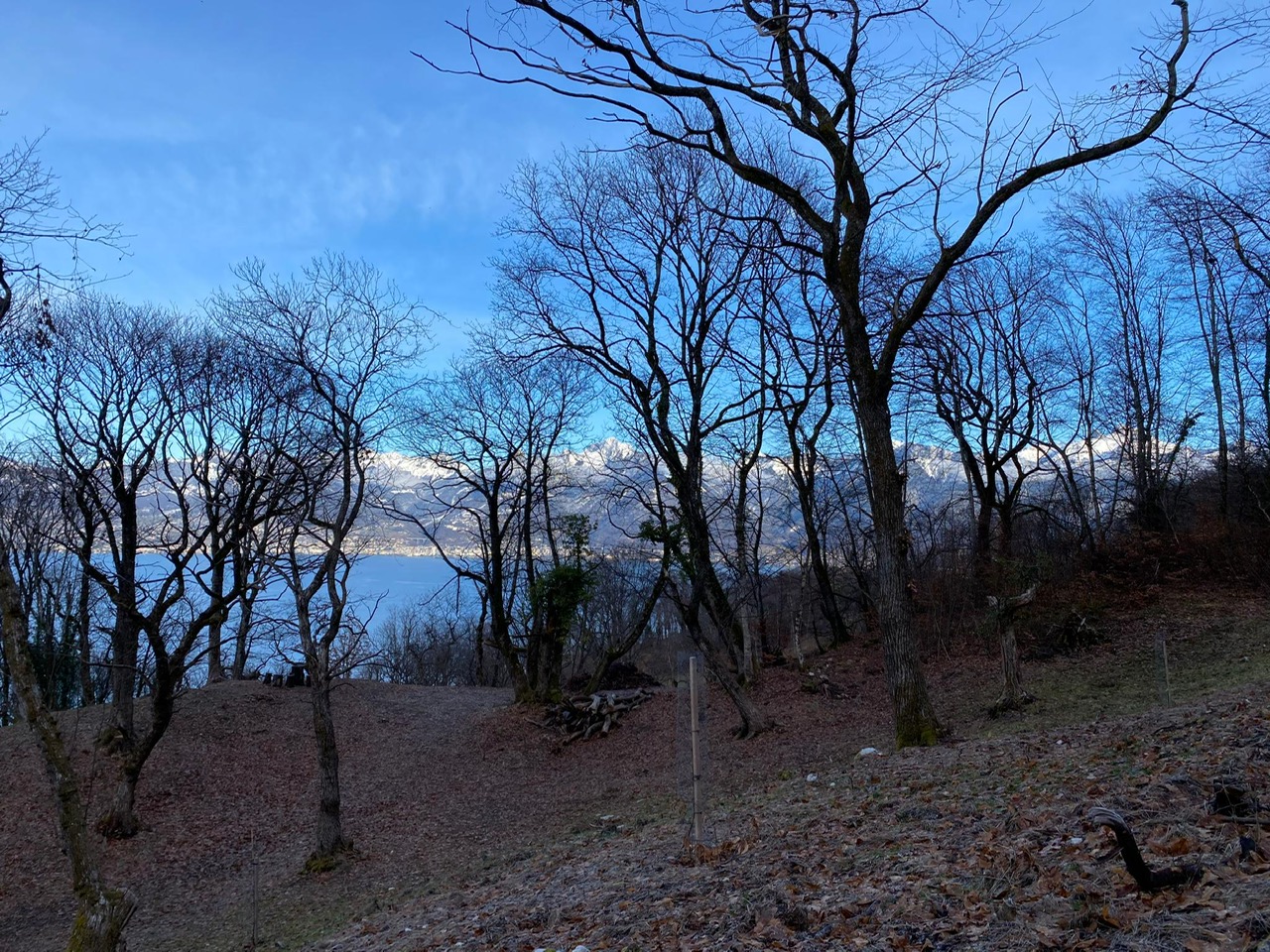 kastanienbaeume-vor-see-und-bergkulisse-st-gingolph-unterstuetzungsfonds.jpg