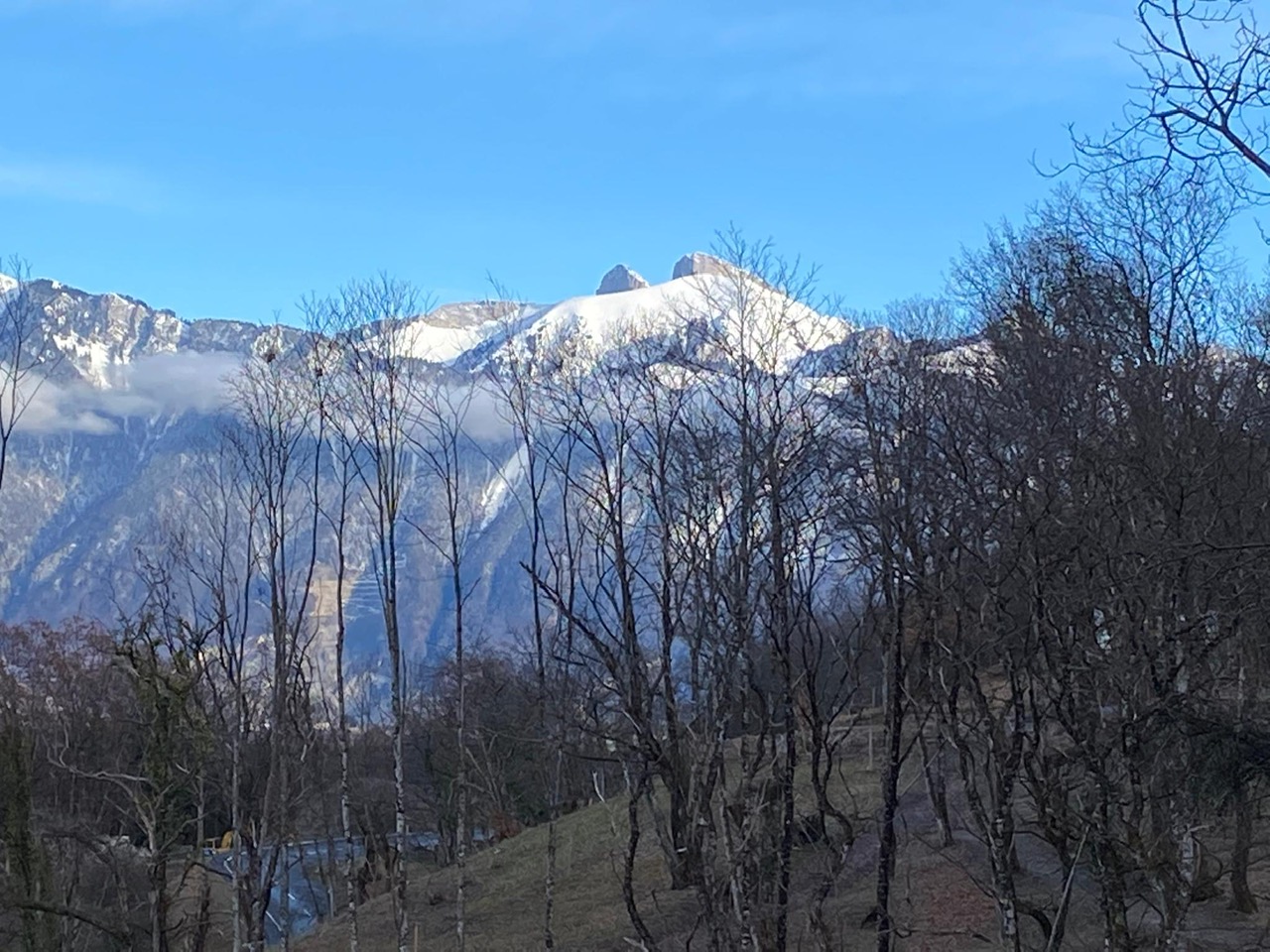 kastanienbaeume-vor-bergkulisse-mit-nebelschleier-st-gingolph-unterstuetzungsfonds.jpg