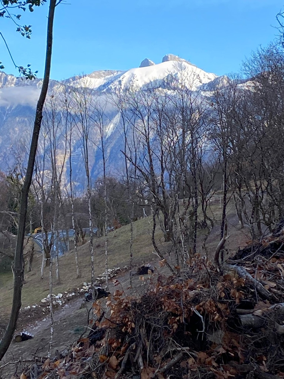 kastanienbaeume-und-berge-st-gingolph-unterstuetzungsfonds.jpg
