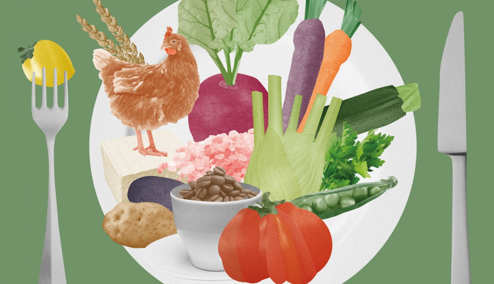 lunchidee: Promoting sustainable eating
