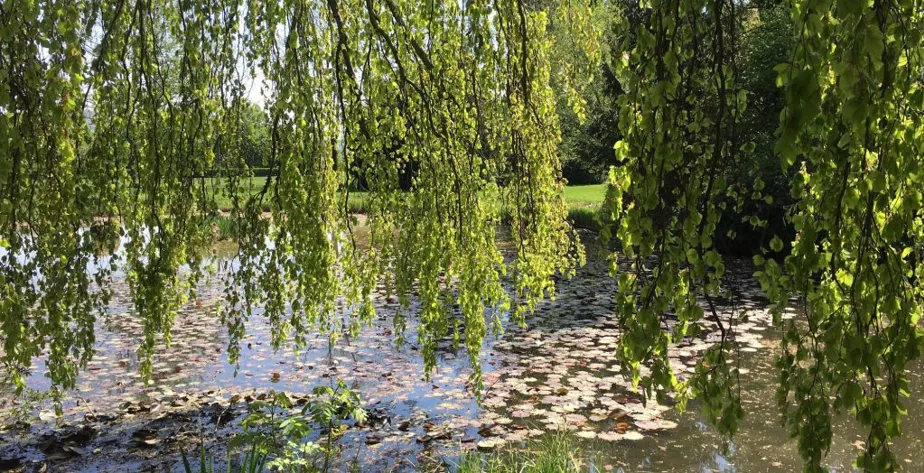 event-header-park-im-gruene-rueschlikon-audiowalk.jpg