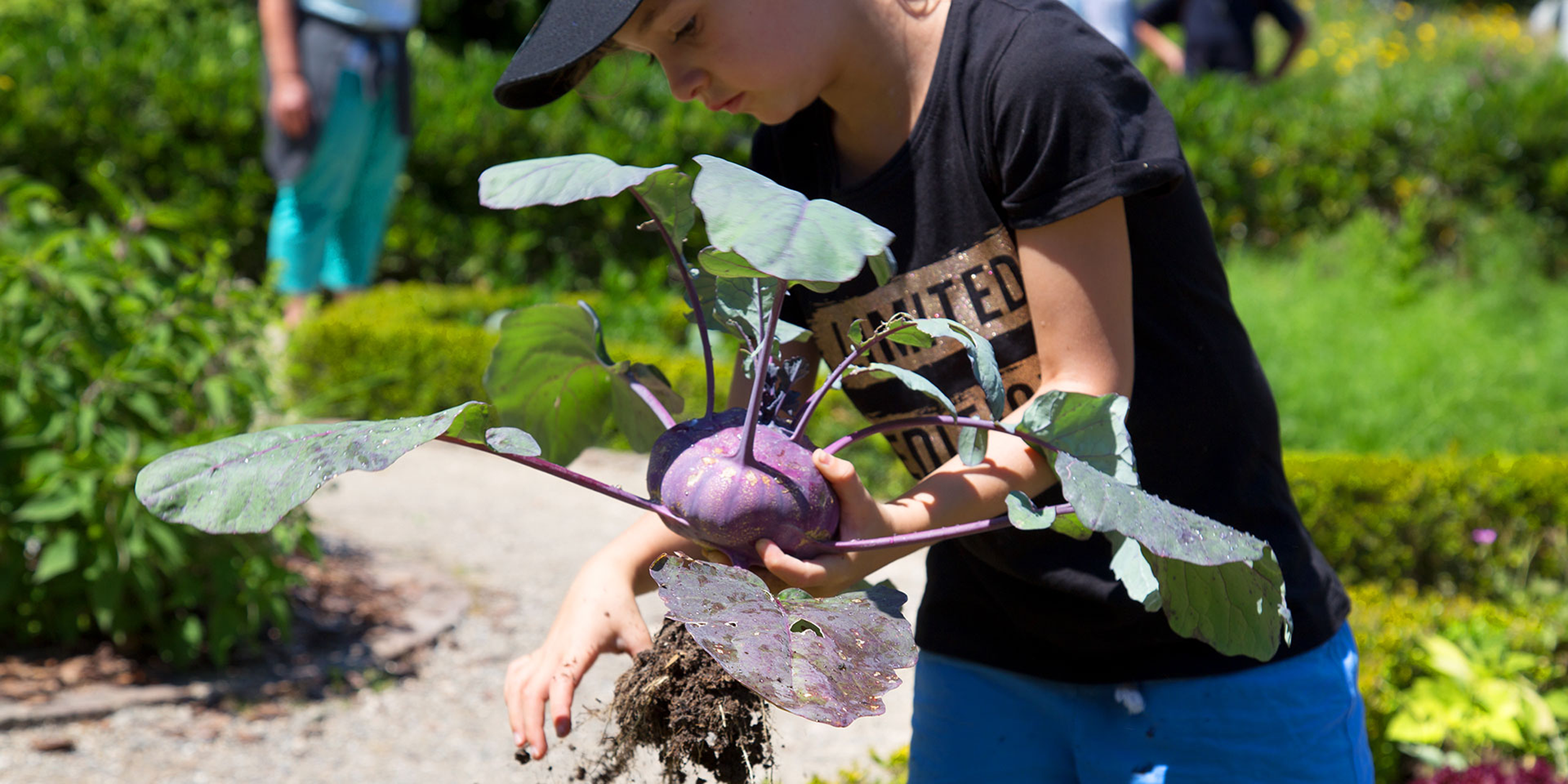 apprendre-a-jardiner-photo-bioterra.png