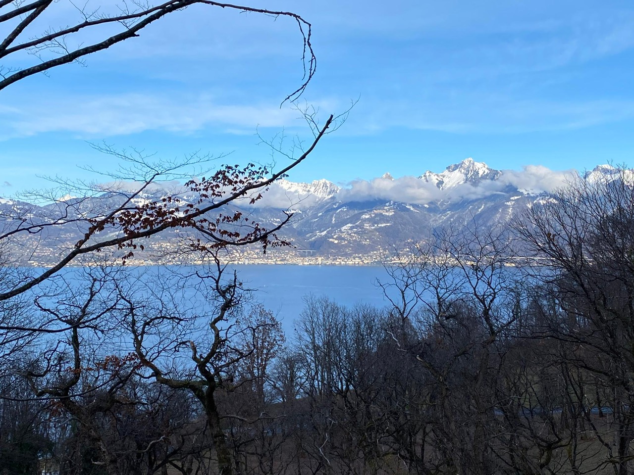 see-mit-kastanienbaeume-und-berge-st-gingolph-unterstuetzungsfonds.jpg