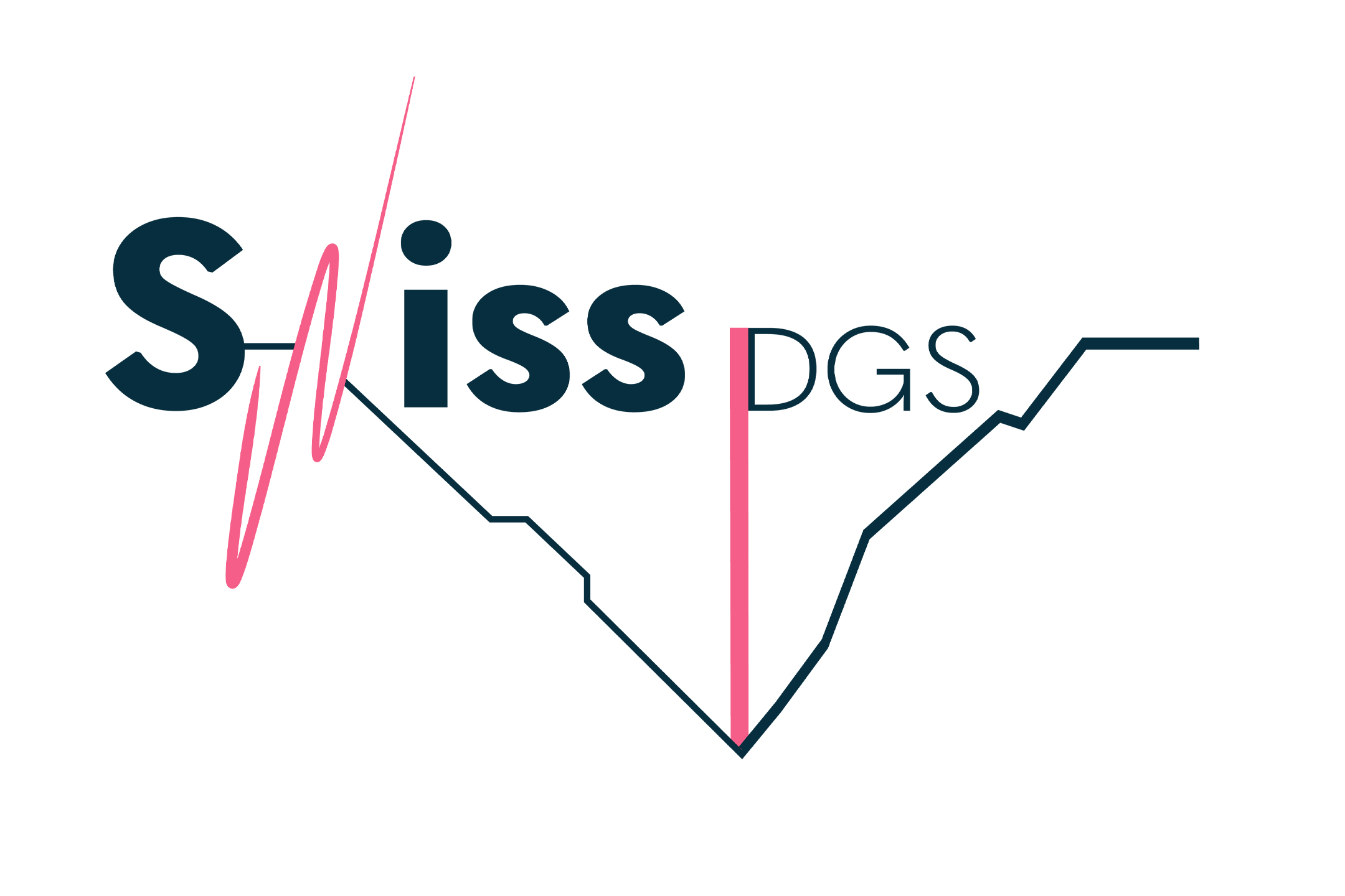 logo-swissdgs.jpg