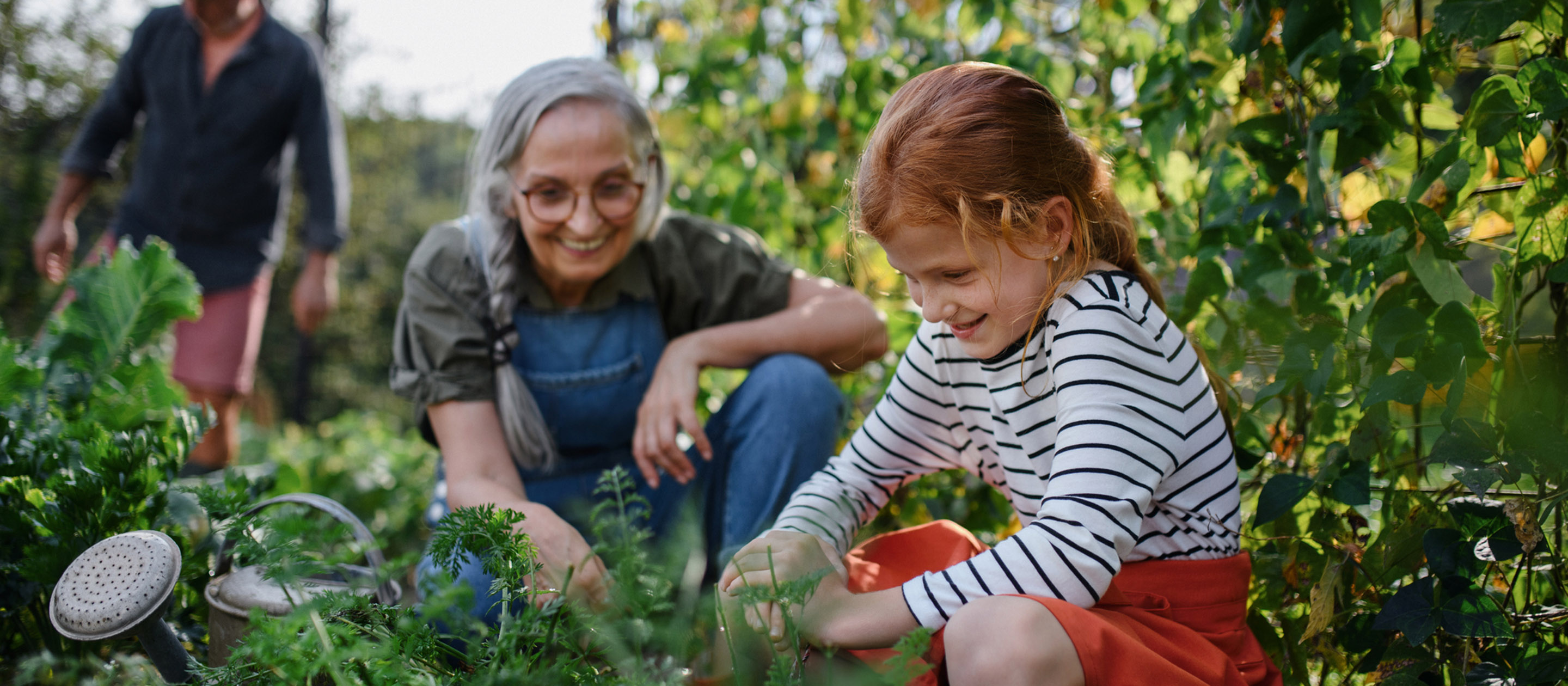 news-header-garten-saisonstart.jpg