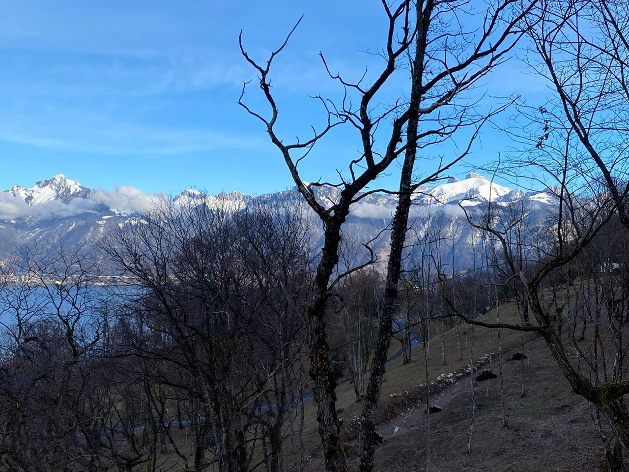 kastanienhang-vor-bergkulisse-st-gingolph-unterstuetzungsfonds.jpg