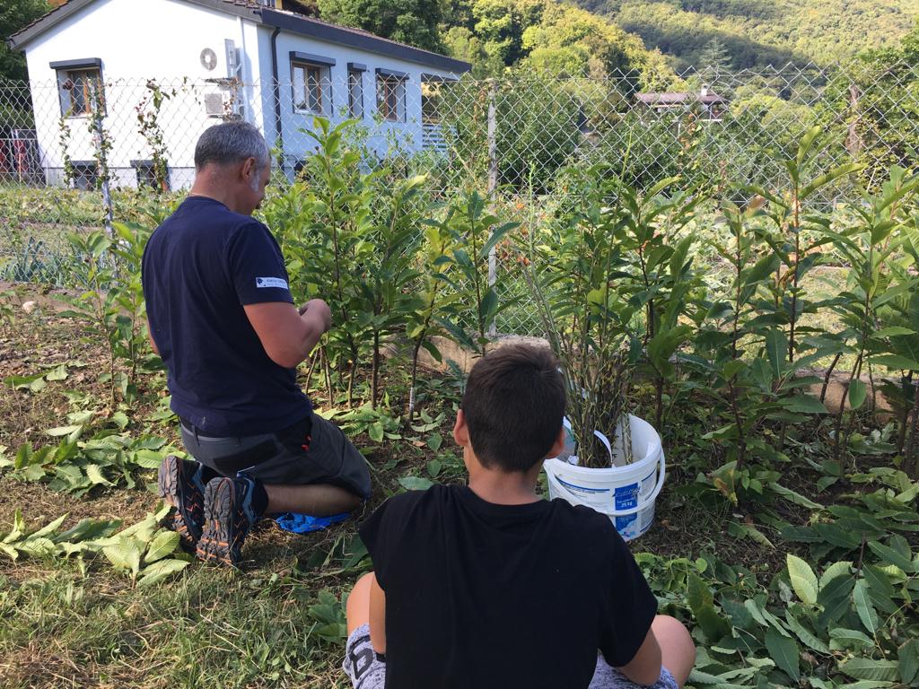 bei-der-arbeit-mit-kastanienpflanzen-st-gingolph-unterstuetzungsfonds.jpg