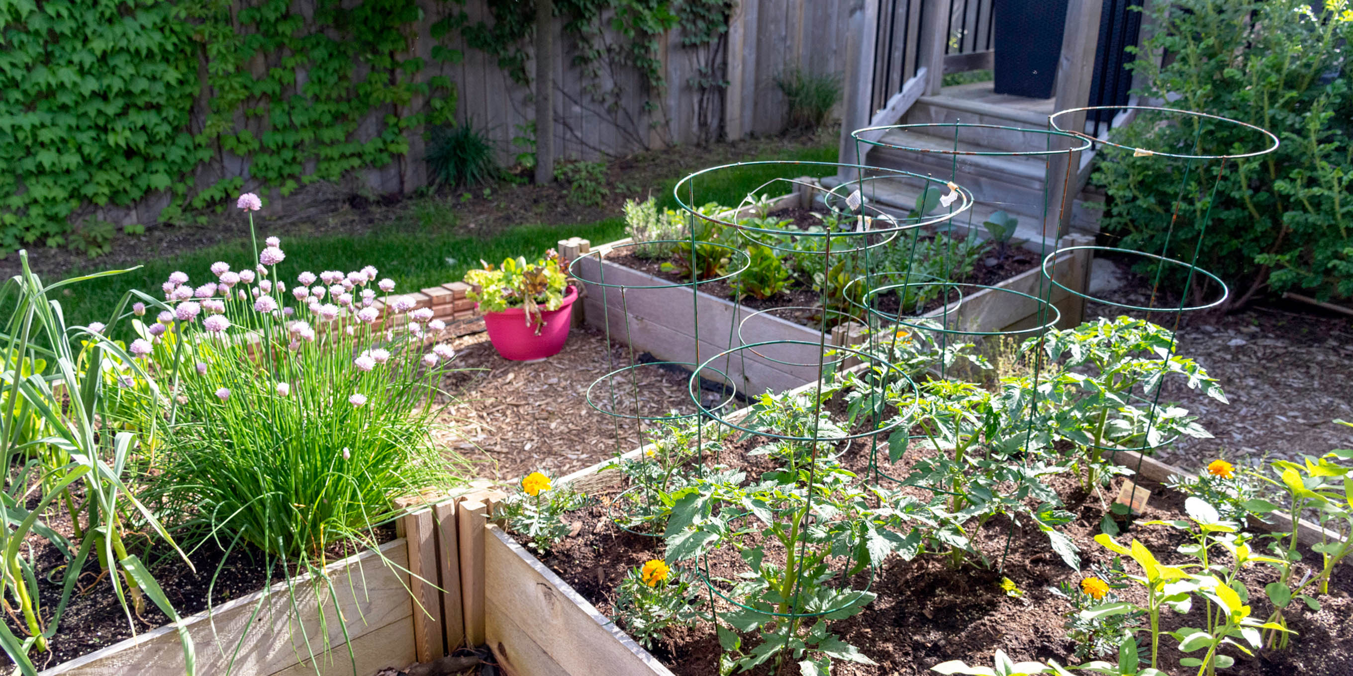 news-inhaltsbild-garten-saisonstart-patchwork.jpg