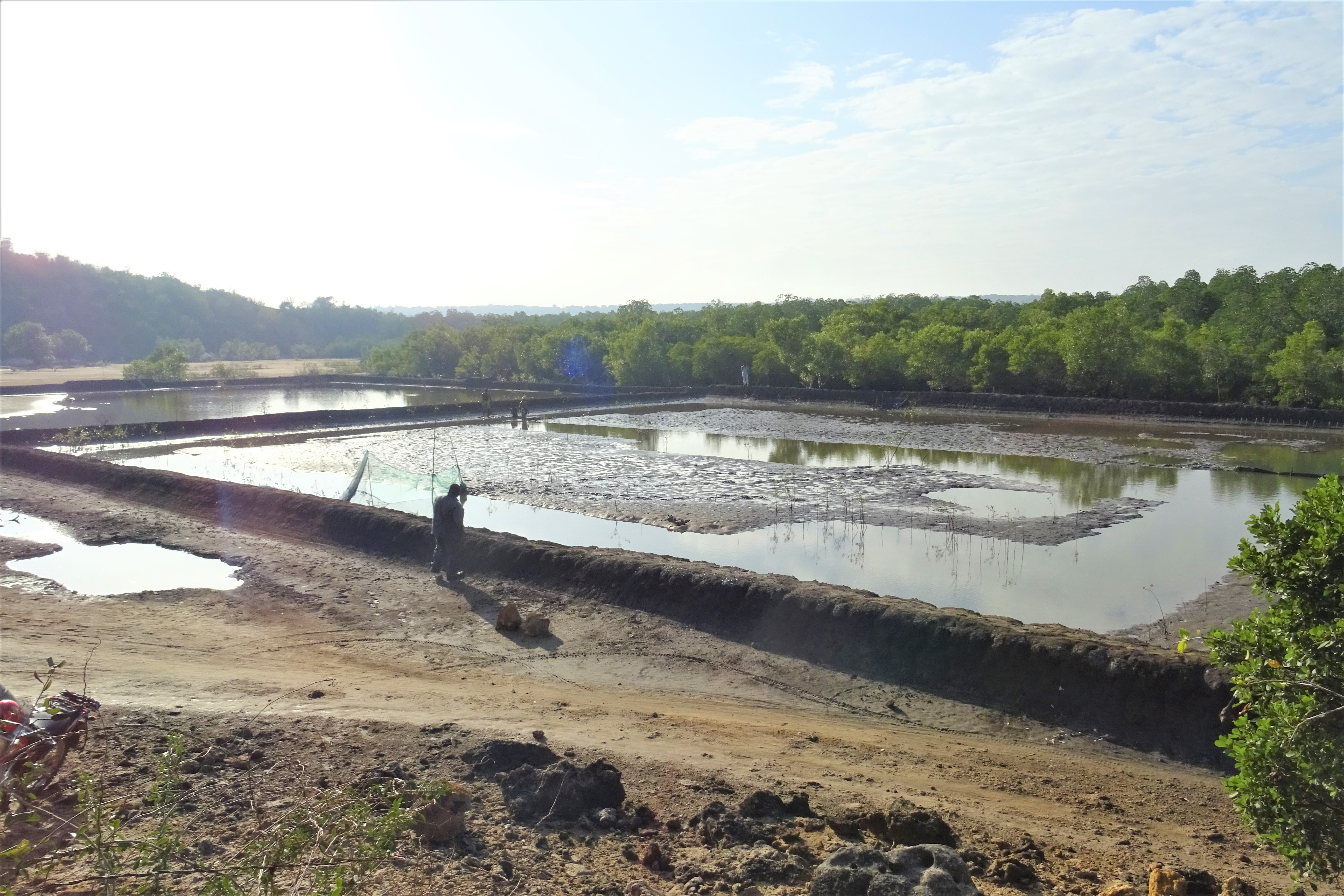 Swissaid: fish farming in Tanzania