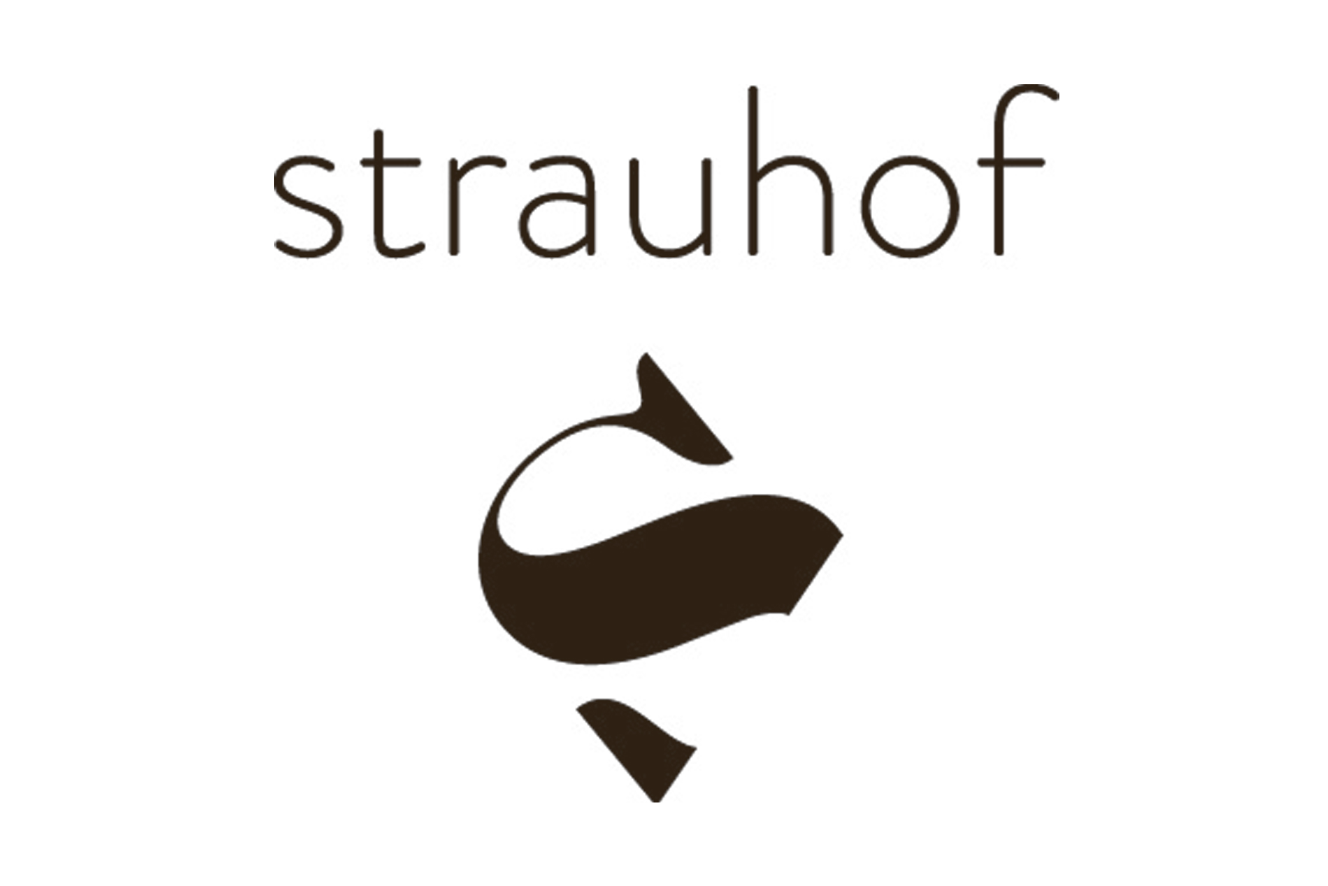 4086-projekt-logo-flex-strauhof.png