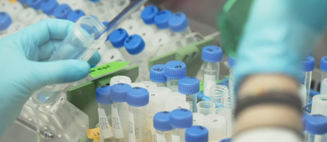 cellx-header.jpg