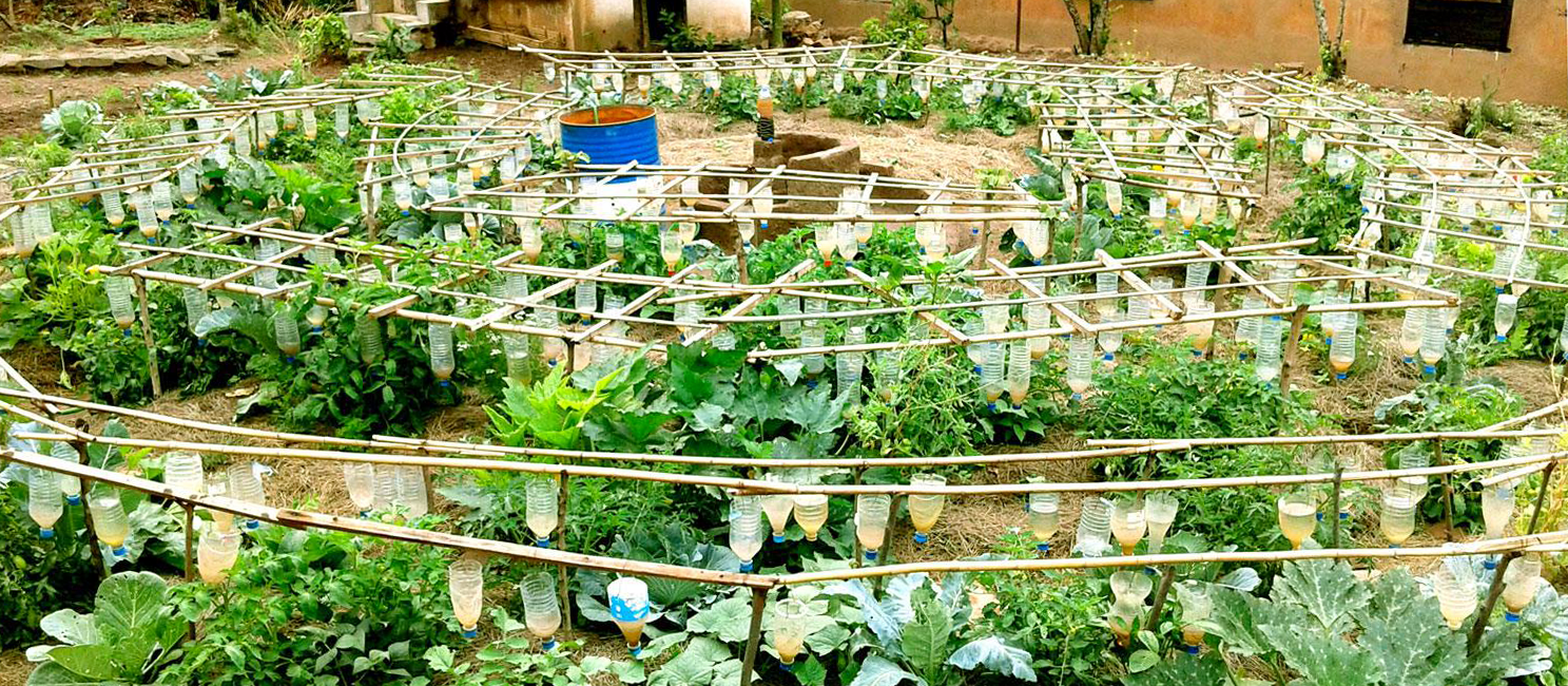permakultur-garten-aqua-alimenta-madagaskar-unterstuetzungsfonds-1.png