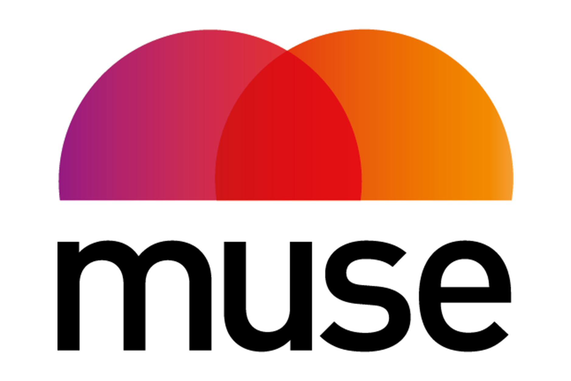 projekt-logo-website-muse.png