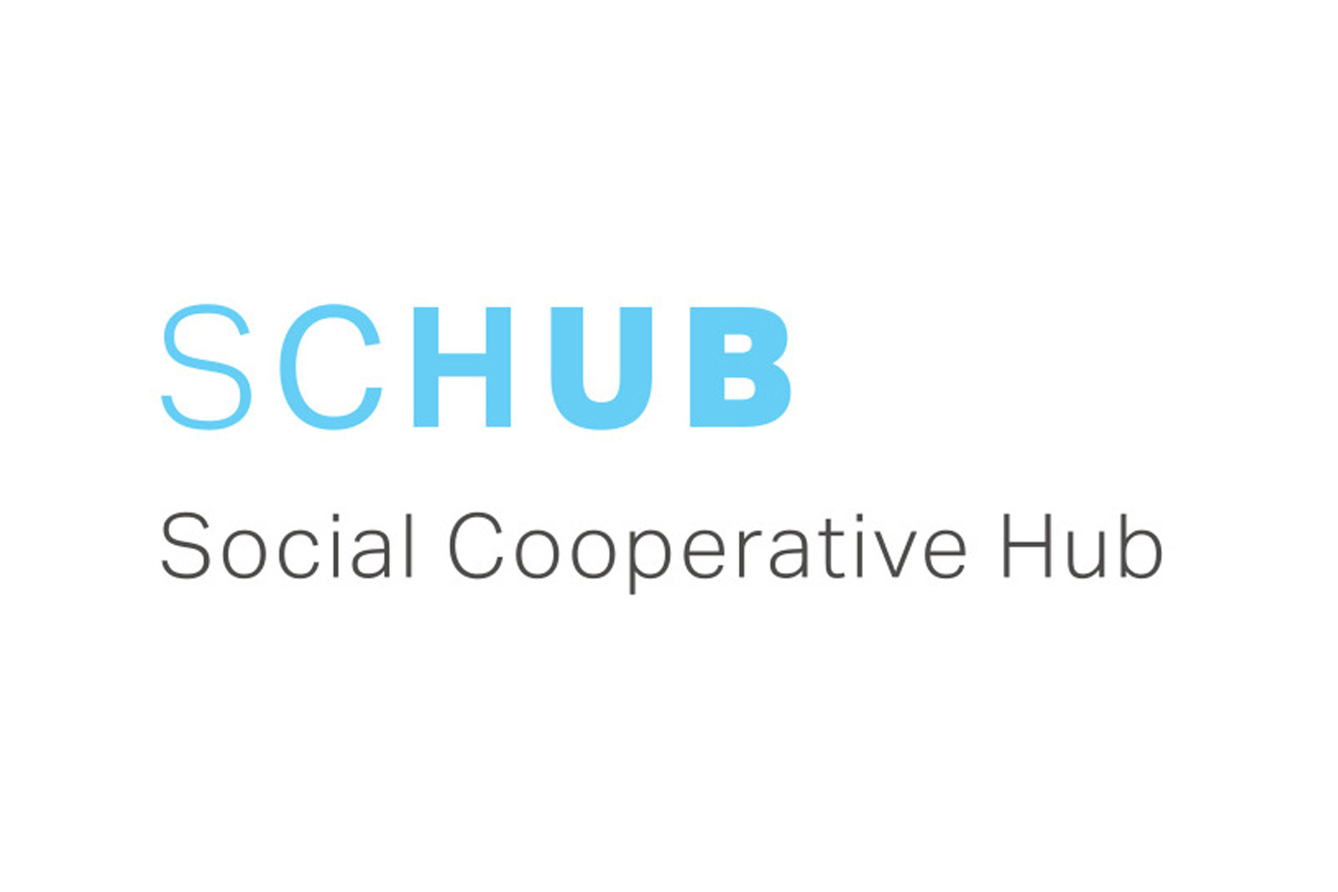 4131-logo-schub-mit-schriftzug.jpg