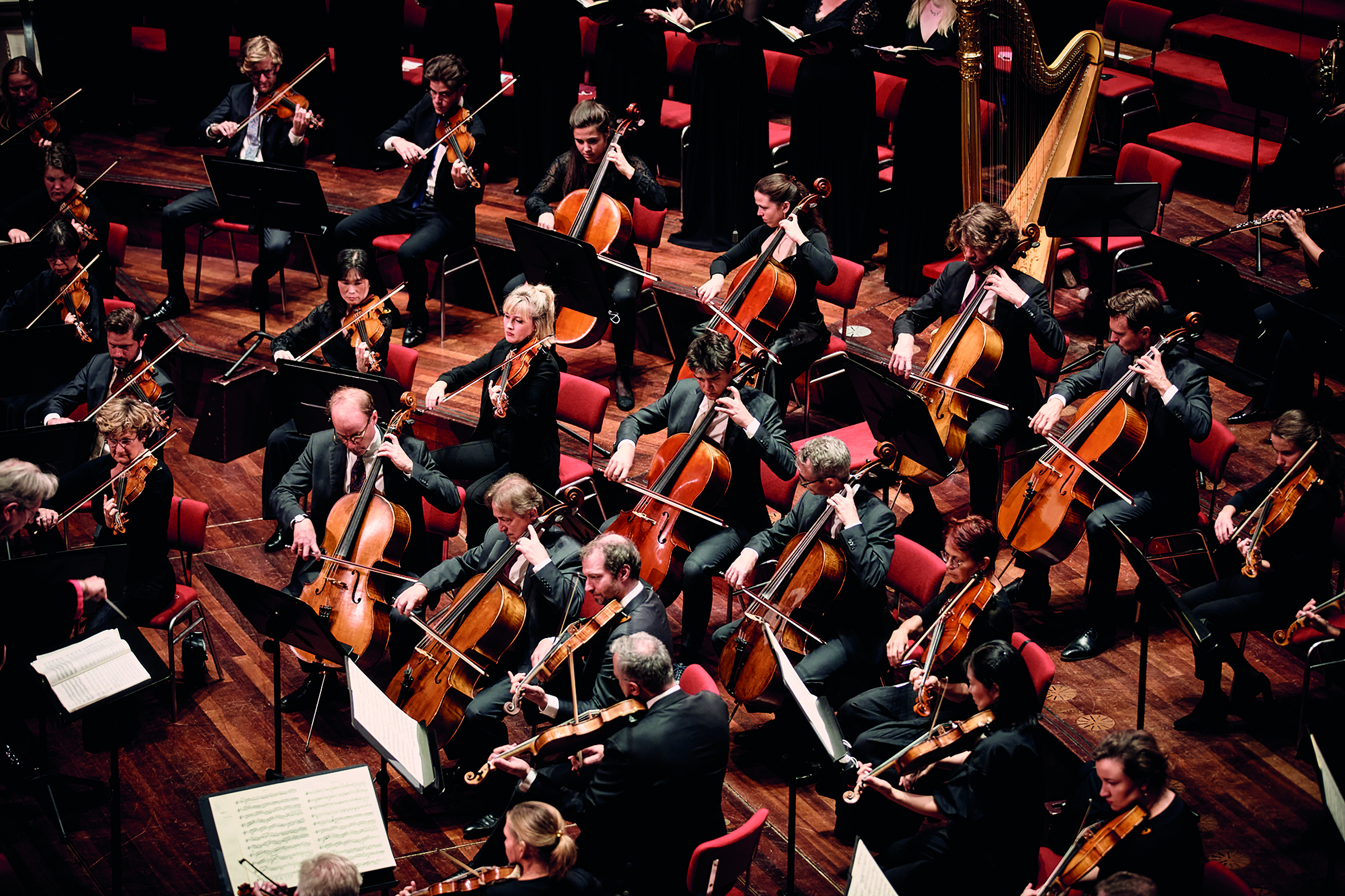 orchestre-eduardus-lee-gmge.jpg