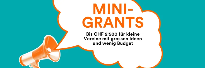 DE_Mini-Grants-Web_3840 x 1280.jpg
