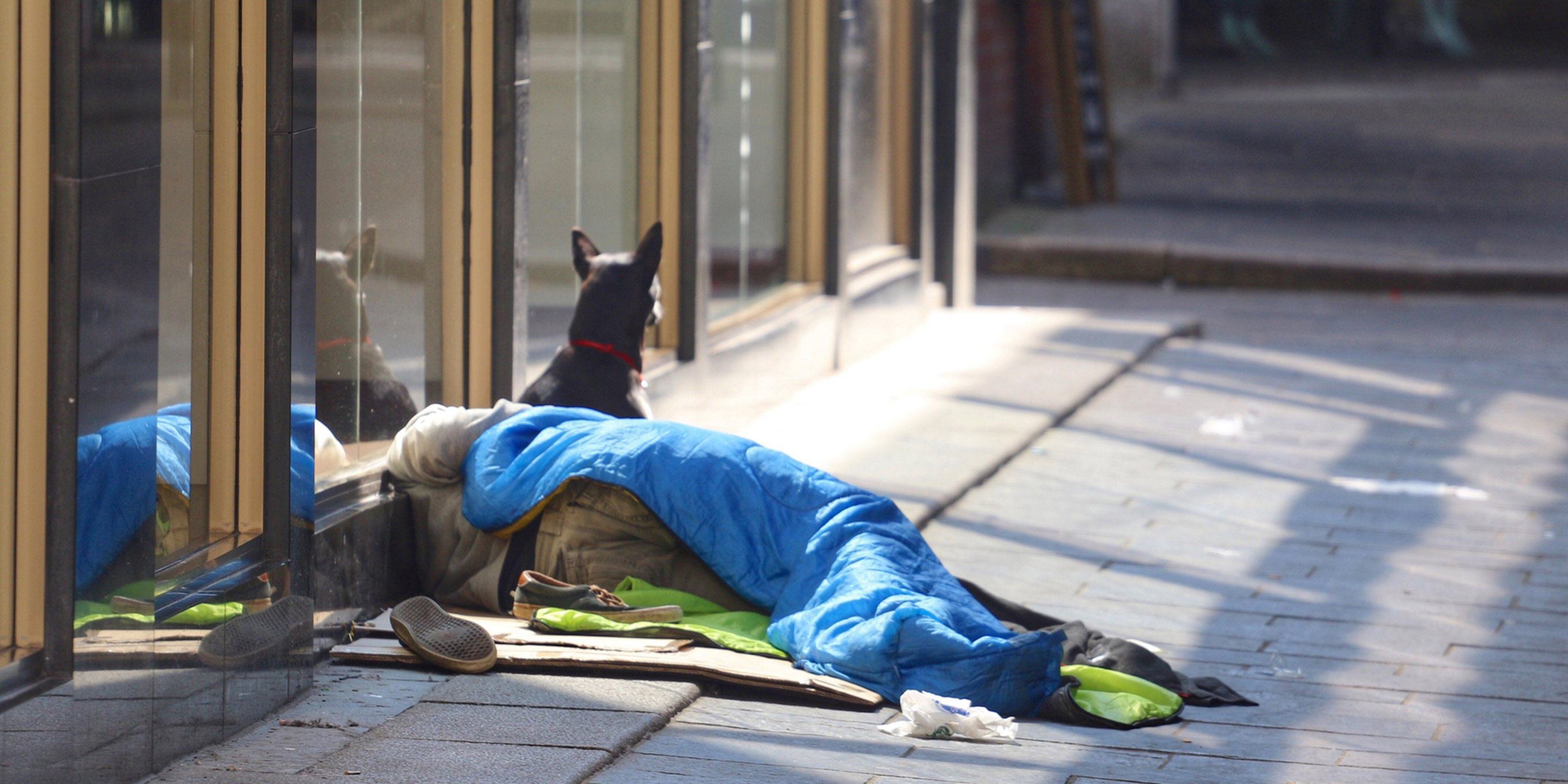 news-inhaltsbild-bettler-portrait-symbolbild-obdachlos.jpg