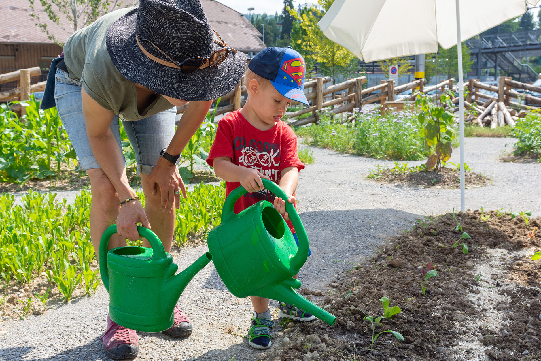 projekt-inhaltsbild-gartenkind-garten-am-bach-st-gallen-junge-giesst-setzlinge.jpg