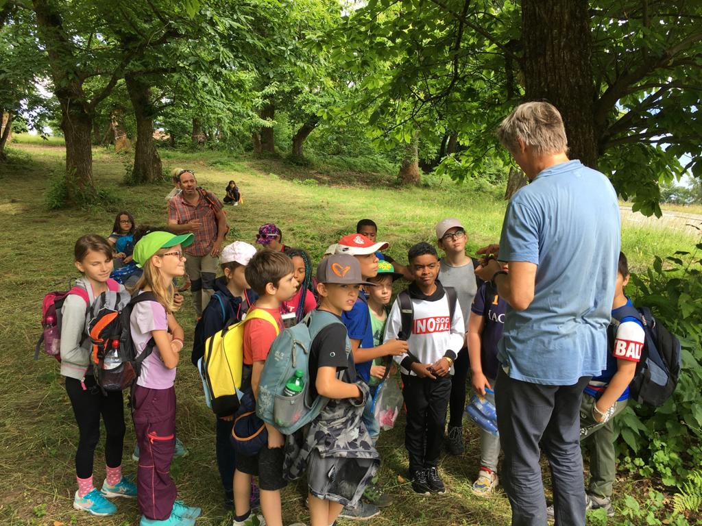 kinder-werden-ueber-kastanienbaeume-instruiert-st-gingolph-unterstuetzungsfonds.jpg