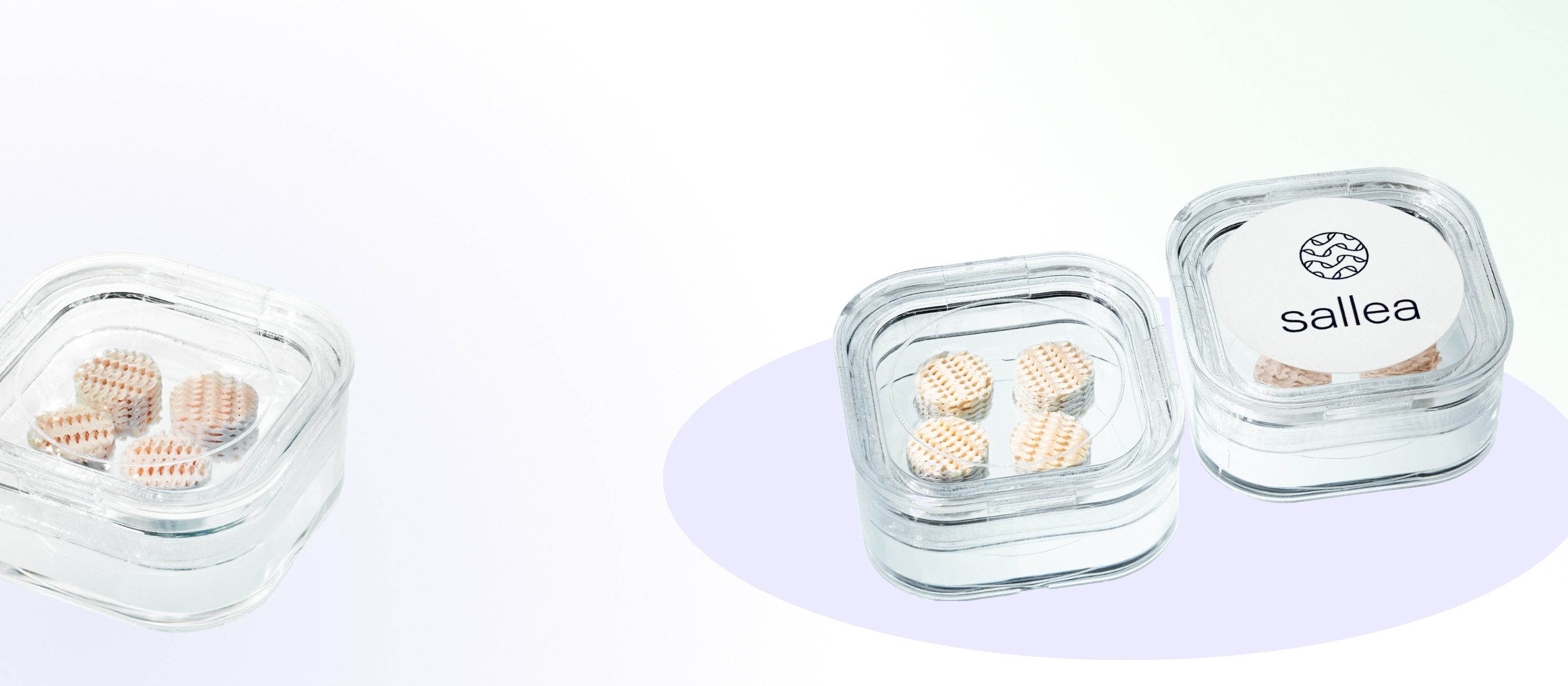 sallea: repenser l’alimentation
