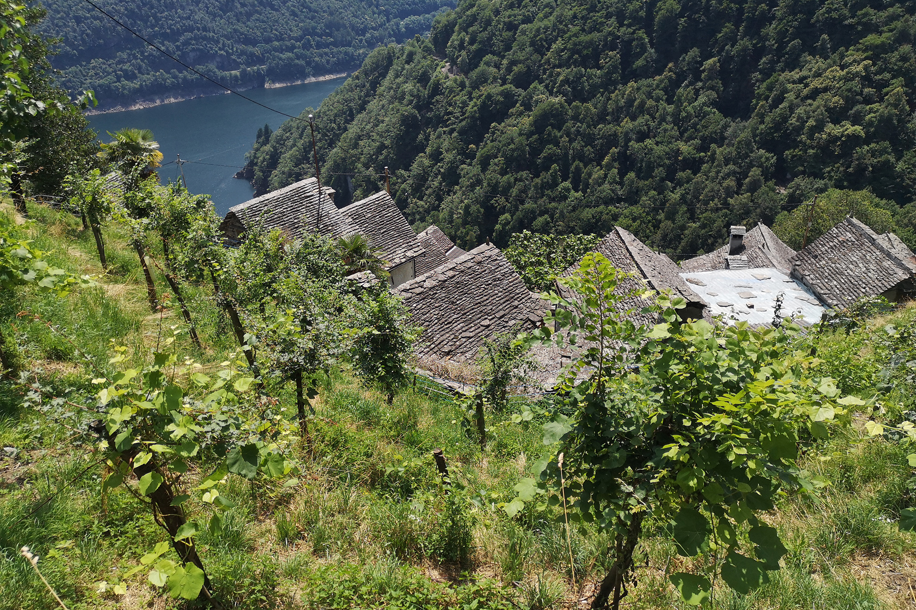 blick-ins-tal